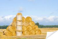 Плакат «Стог сена на поле  №2»