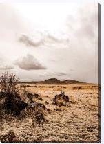 Картина «Пустыня»