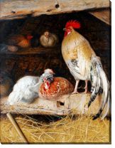 Репродукция «Курицы  №4»